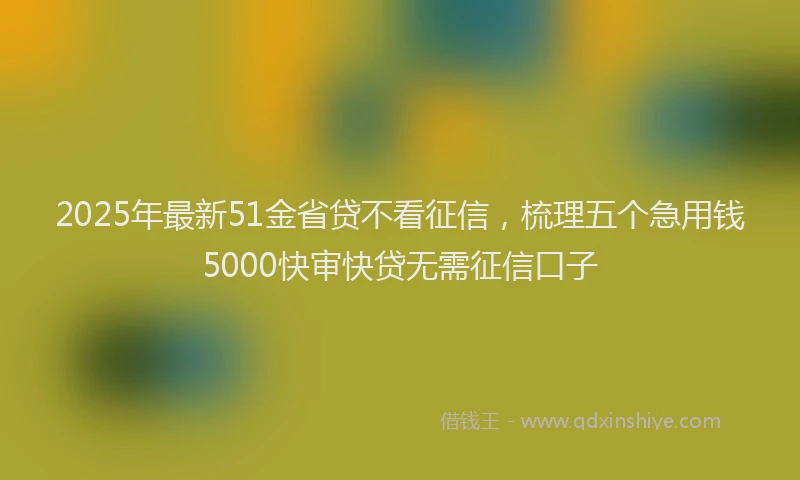 2025年最新51金省贷不看征信，梳理五个急用钱5000快审快贷无需征信口子