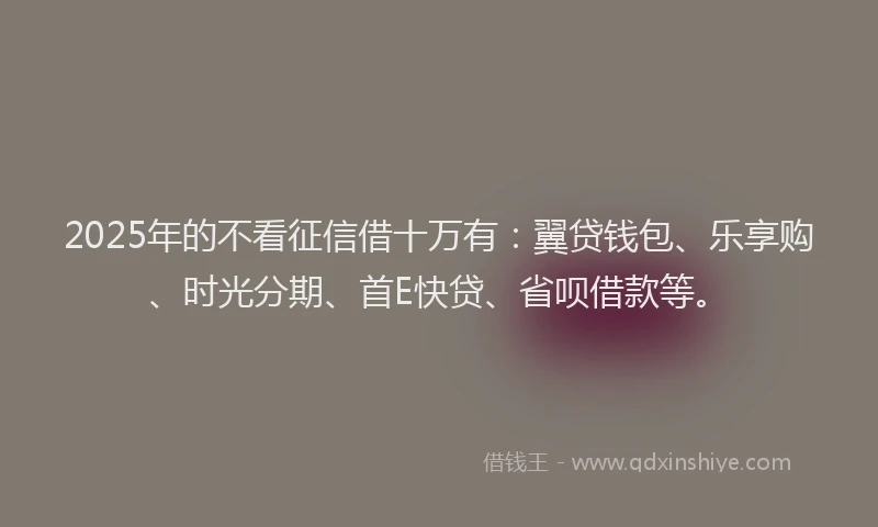 2025年的不看征信借十万有：翼贷钱包、乐享购、时光分期、首E快贷、省呗借款等。