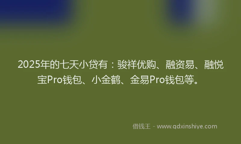 2025年的七天小贷有：骏祥优购、融资易、融悦宝Pro钱包、小金鹤、金易Pro钱包等。