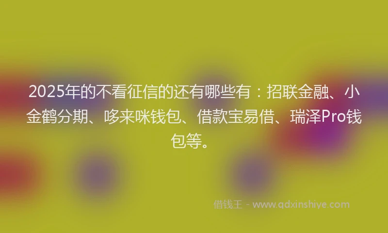 2025年的不看征信的还有哪些有：招联金融、小金鹤分期、哆来咪钱包、借款宝易借、瑞泽Pro钱包等。