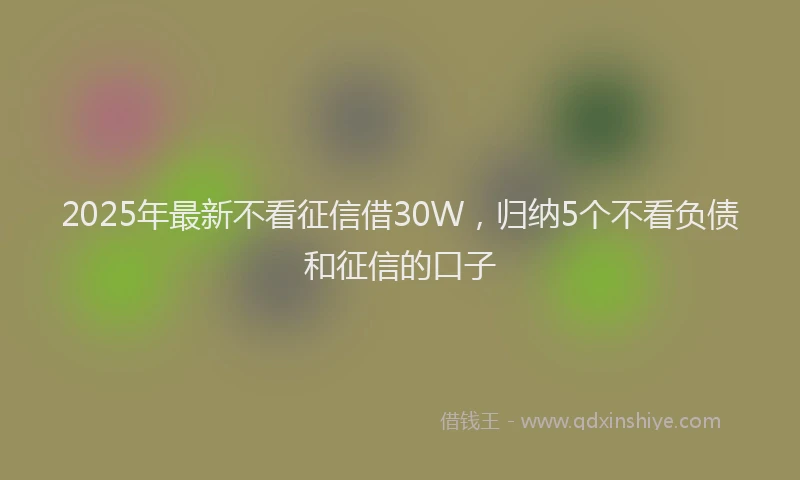 2025年最新不看征信借30W，归纳5个不看负债和征信的口子