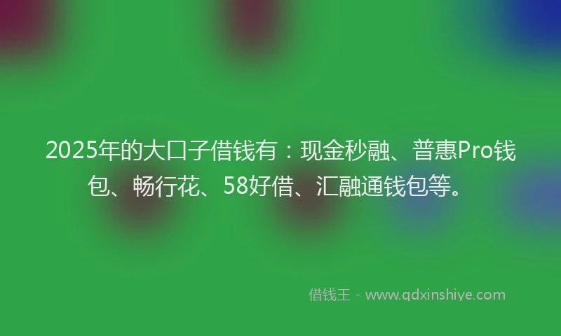 2025年的大口子借钱有：现金秒融、普惠Pro钱包、畅行花、58好借、汇融通钱包等。