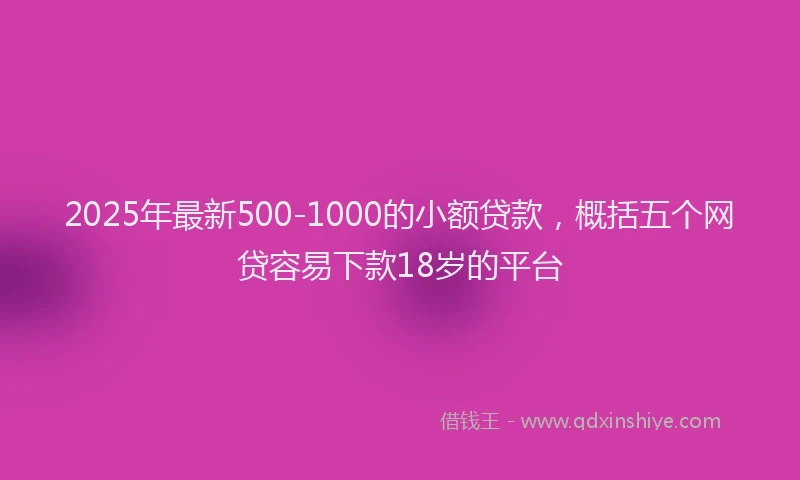 2025年最新500-1000的小额贷款，概括五个网贷容易下款18岁的平台
