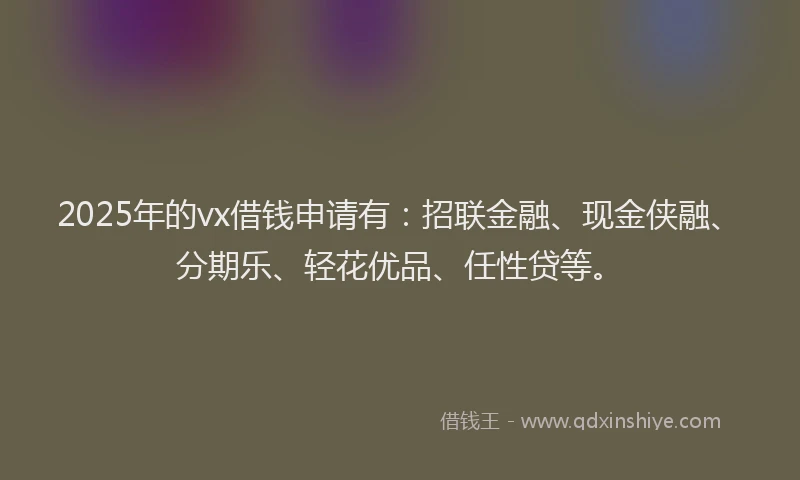 2025年的vx借钱申请有：招联金融、现金侠融、分期乐、轻花优品、任性贷等。