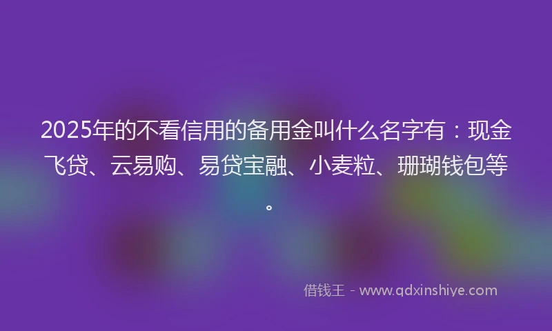 2025年的不看信用的备用金叫什么名字有：现金飞贷、云易购、易贷宝融、小麦粒、珊瑚钱包等。