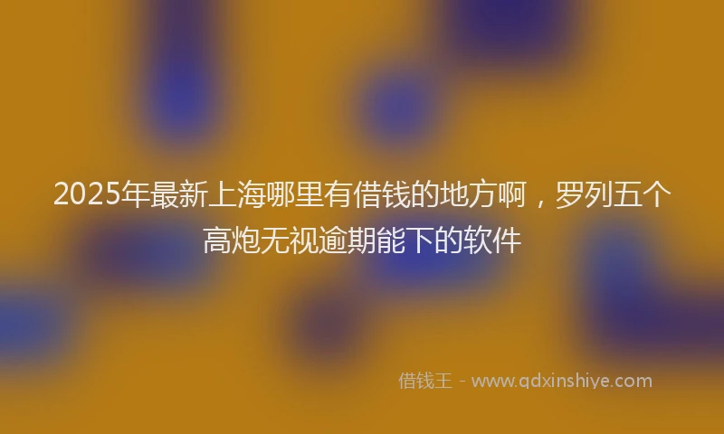 2025年最新上海哪里有借钱的地方啊，罗列五个高炮无视逾期能下的软件