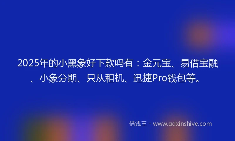 2025年的小黑象好下款吗有：金元宝、易借宝融、小象分期、只从租机、迅捷Pro钱包等。