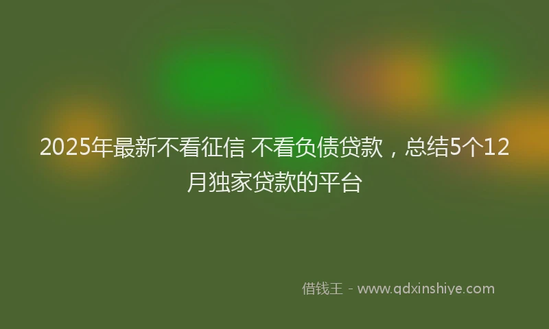 2025年最新不看征信 不看负债贷款，总结5个12月独家贷款的平台