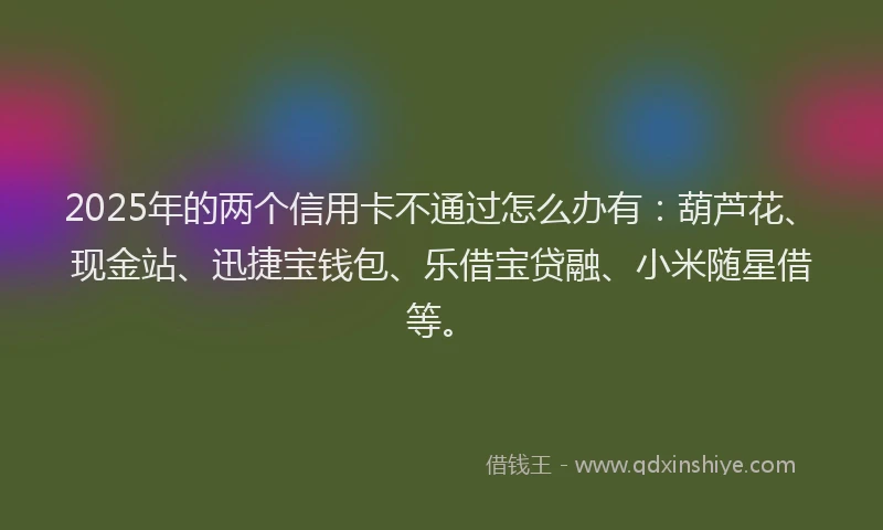 2025年的两个信用卡不通过怎么办有：葫芦花、现金站、迅捷宝钱包、乐借宝贷融、小米随星借等。