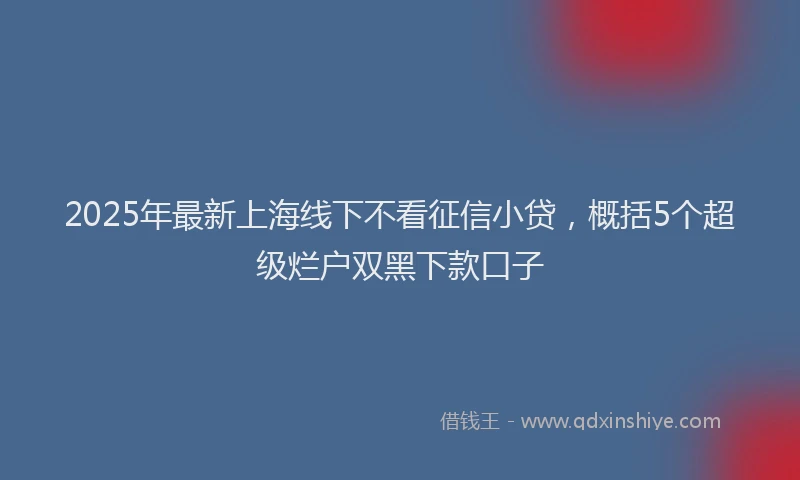 2025年最新上海线下不看征信小贷，概括5个超级烂户双黑下款口子