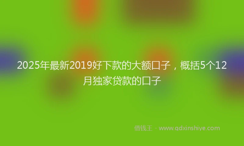 2025年最新2019好下款的大额口子，概括5个12月独家贷款的口子