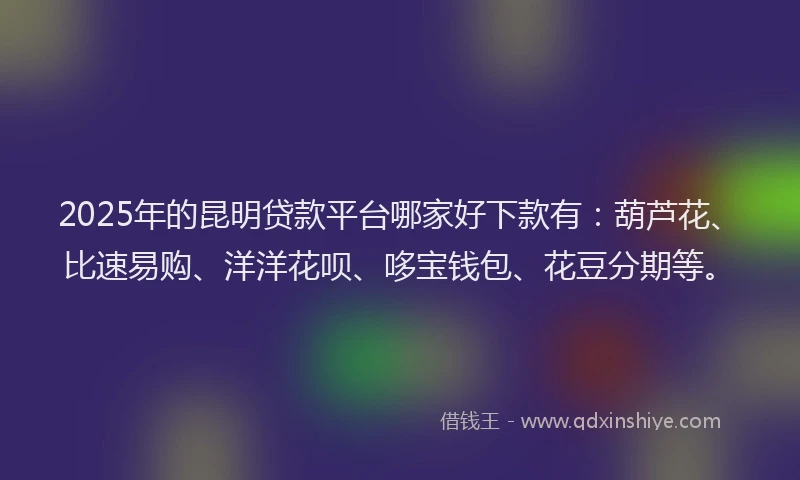 2025年的昆明贷款平台哪家好下款有：葫芦花、比速易购、洋洋花呗、哆宝钱包、花豆分期等。