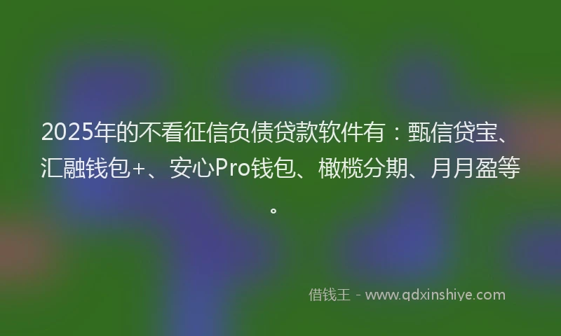 2025年的不看征信负债贷款软件有：甄信贷宝、汇融钱包+、安心Pro钱包、橄榄分期、月月盈等。