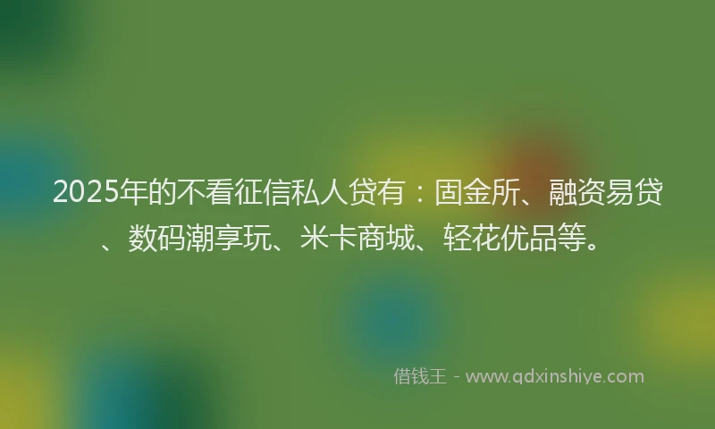 2025年的不看征信私人贷有：固金所、融资易贷、数码潮享玩、米卡商城、轻花优品等。