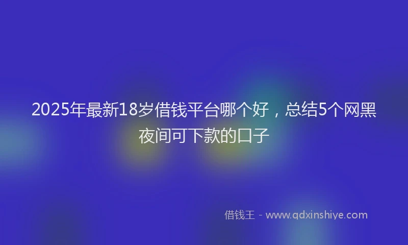 2025年最新18岁借钱平台哪个好，总结5个网黑夜间可下款的口子