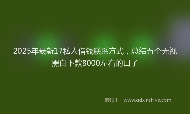 2025年最新17私人借钱联系方式，总结五个无视黑白下款8000左右的口子