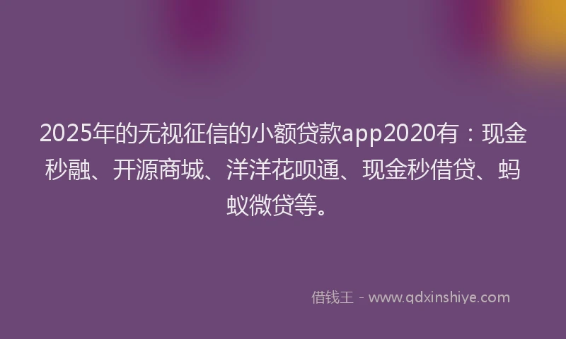 2025年的无视征信的小额贷款app2020有：现金秒融、开源商城、洋洋花呗通、现金秒借贷、蚂蚁微贷等。