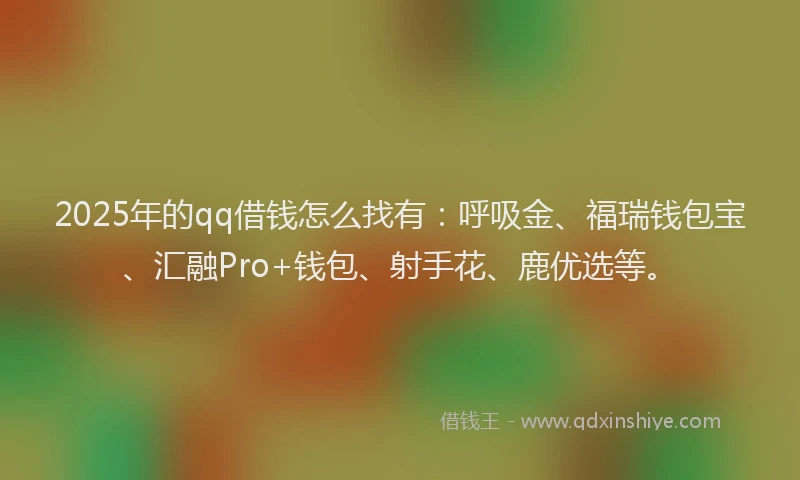 2025年的qq借钱怎么找有：呼吸金、福瑞钱包宝、汇融Pro+钱包、射手花、鹿优选等。