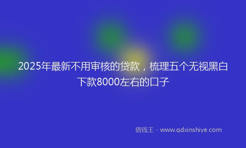 2025年最新不用审核的贷款，梳理五个无视黑白下款8000左右的口子