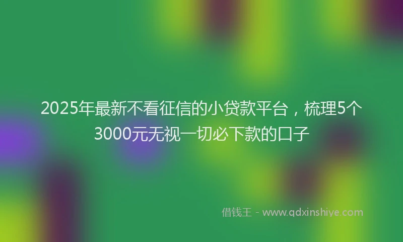 2025年最新不看征信的小贷款平台，梳理5个3000元无视一切必下款的口子