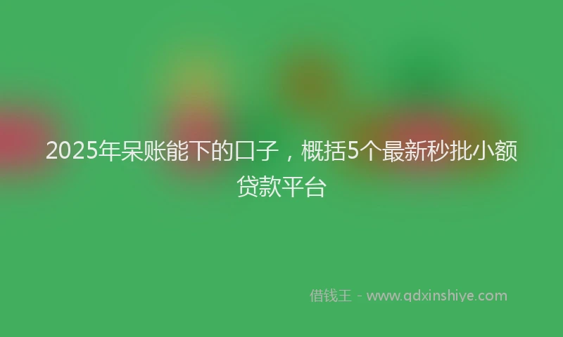 2025年呆账能下的口子，概括5个最新秒批小额贷款平台