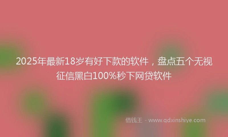 2025年最新18岁有好下款的软件，盘点五个无视征信黑白100%秒下网贷软件