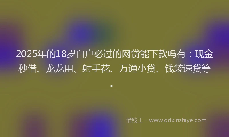2025年的18岁白户必过的网贷能下款吗有：现金秒借、龙龙用、射手花、万通小贷、钱袋速贷等。