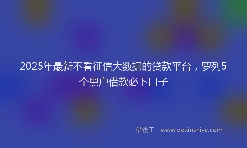 2025年最新不看征信大数据的贷款平台，罗列5个黑户借款必下口子