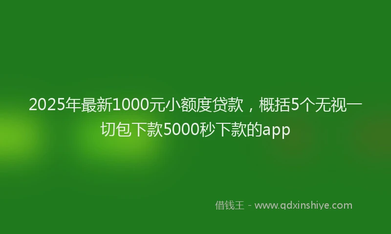 2025年最新1000元小额度贷款，概括5个无视一切包下款5000秒下款的app