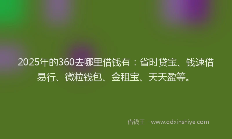 2025年的360去哪里借钱有：省时贷宝、钱速借易行、微粒钱包、金租宝、天天盈等。