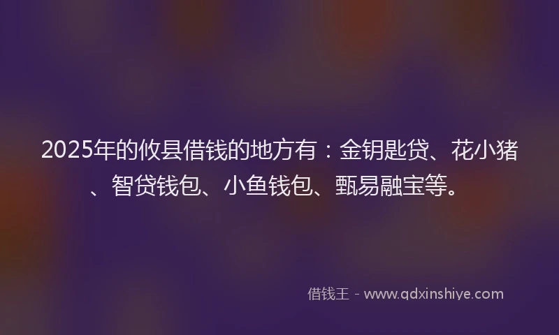 2025年的攸县借钱的地方有：金钥匙贷、花小猪、智贷钱包、小鱼钱包、甄易融宝等。