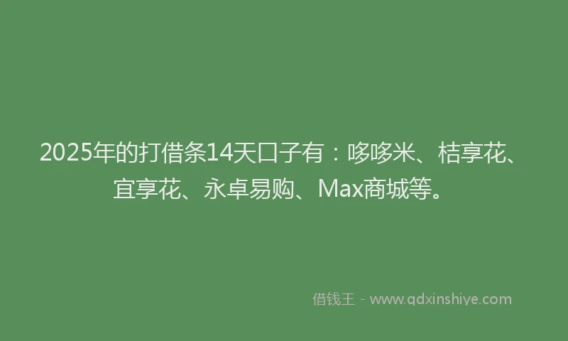 2025年的打借条14天口子有：哆哆米、桔享花、宜享花、永卓易购、Max商城等。