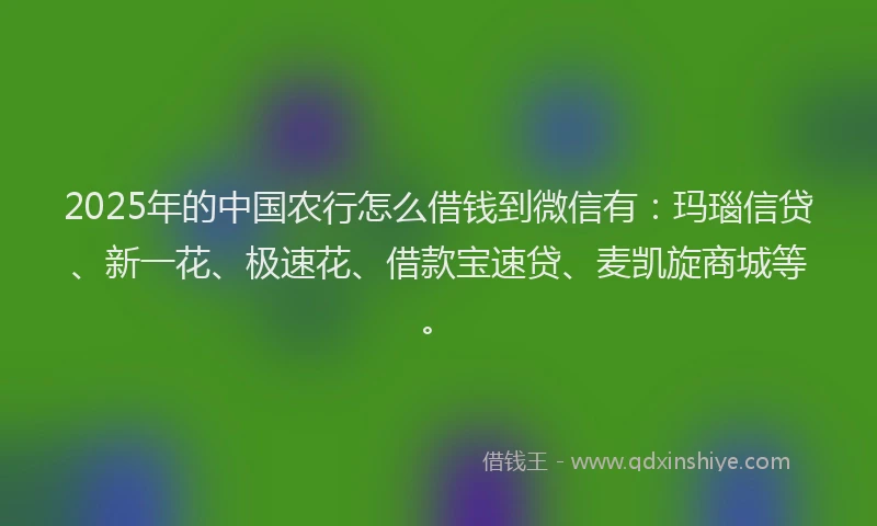 2025年的中国农行怎么借钱到微信有：玛瑙信贷、新一花、极速花、借款宝速贷、麦凯旋商城等。