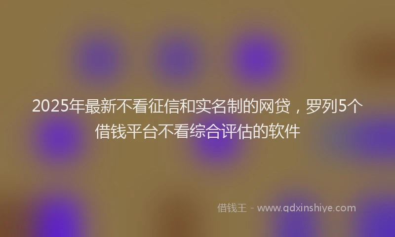 2025年最新不看征信和实名制的网贷，罗列5个借钱平台不看综合评估的软件
