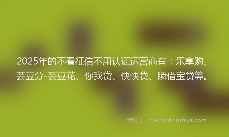 2025年的不看征信不用认证运营商有：乐享购、芸豆分-芸豆花、你我贷、快快贷、瞬借宝贷等。