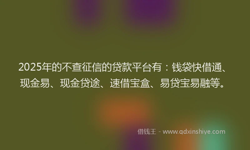 2025年的不查征信的贷款平台有：钱袋快借通、现金易、现金贷途、速借宝盒、易贷宝易融等。