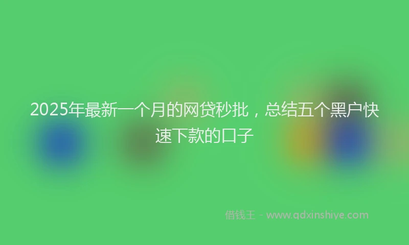 2025年最新一个月的网贷秒批，总结五个黑户快速下款的口子