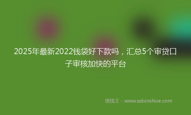 2025年最新2022钱袋好下款吗，汇总5个审贷口子审核加快的平台