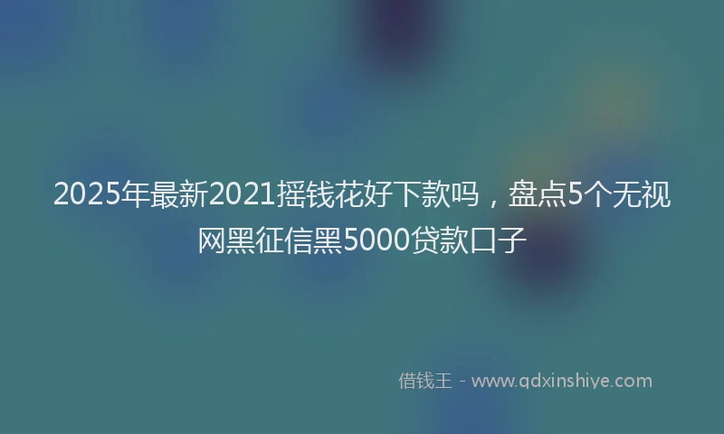2025年最新2021摇钱花好下款吗，盘点5个无视网黑征信黑5000贷款口子