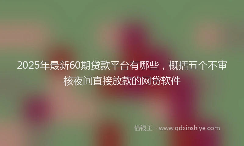 2025年最新60期贷款平台有哪些，概括五个不审核夜间直接放款的网贷软件