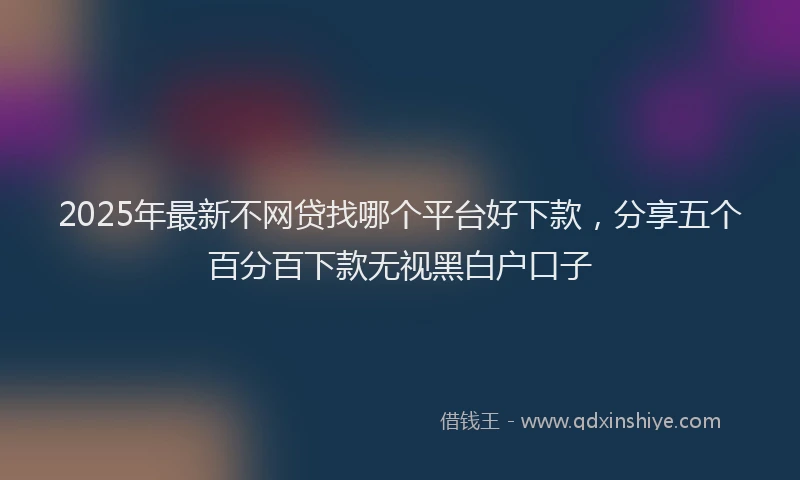 2025年最新不网贷找哪个平台好下款，分享五个百分百下款无视黑白户口子