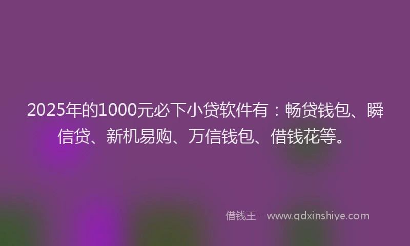 2025年的1000元必下小贷软件有：畅贷钱包、瞬信贷、新机易购、万信钱包、借钱花等。