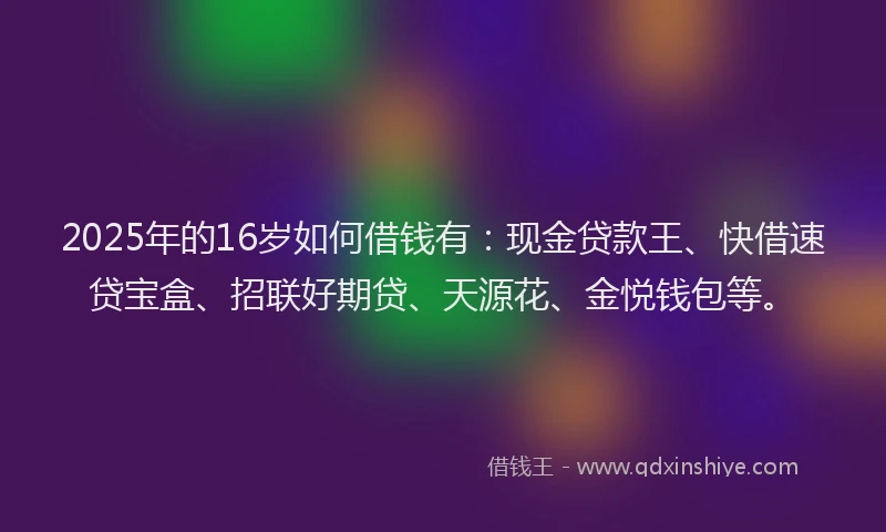 2025年的16岁如何借钱有：现金贷款王、快借速贷宝盒、招联好期贷、天源花、金悦钱包等。