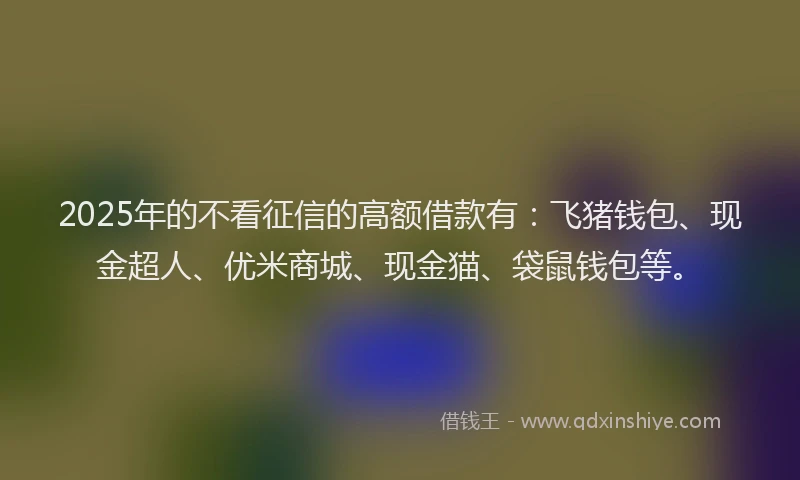 2025年的不看征信的高额借款有：飞猪钱包、现金超人、优米商城、现金猫、袋鼠钱包等。