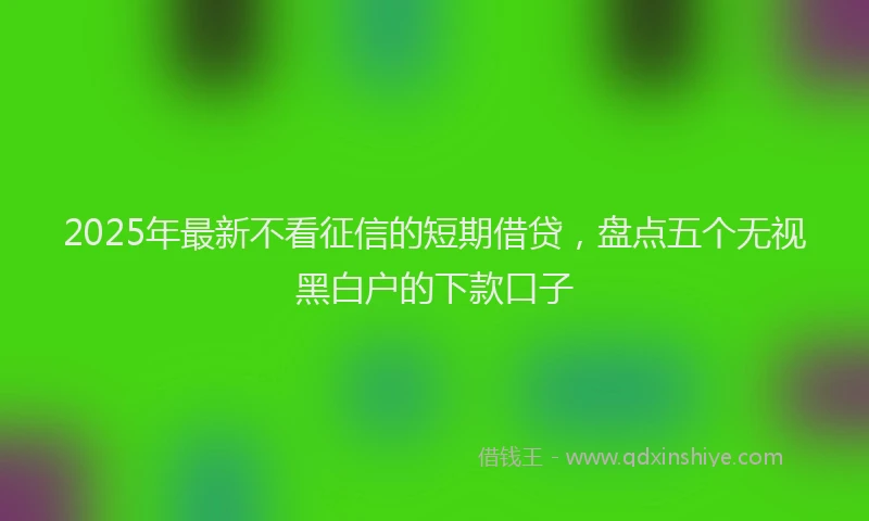 2025年最新不看征信的短期借贷，盘点五个无视黑白户的下款口子