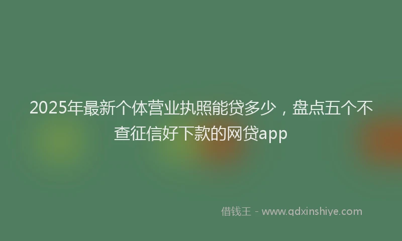 2025年最新个体营业执照能贷多少，盘点五个不查征信好下款的网贷app