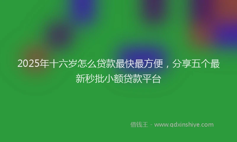 2025年十六岁怎么贷款最快最方便，分享五个最新秒批小额贷款平台