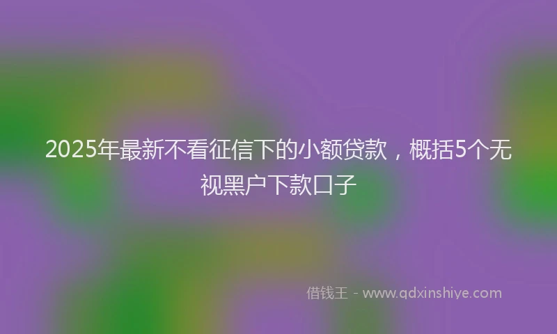 2025年最新不看征信下的小额贷款，概括5个无视黑户下款口子