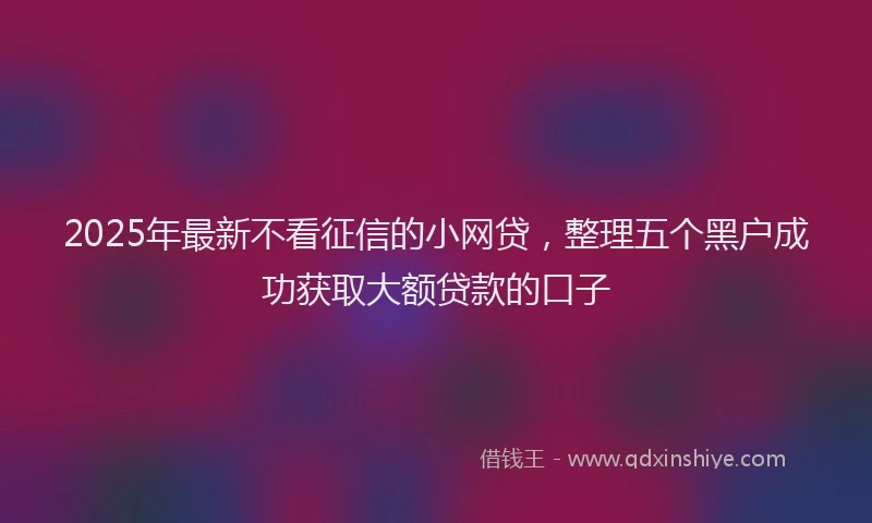 2025年最新不看征信的小网贷，整理五个黑户成功获取大额贷款的口子