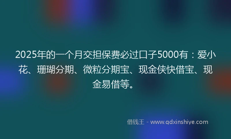 2025年的一个月交担保费必过口子5000有：爱小花、珊瑚分期、微粒分期宝、现金侠快借宝、现金易借等。
